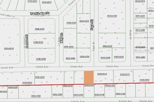 405 Union Ave, Interlachen, FL, 32148 | Card Image