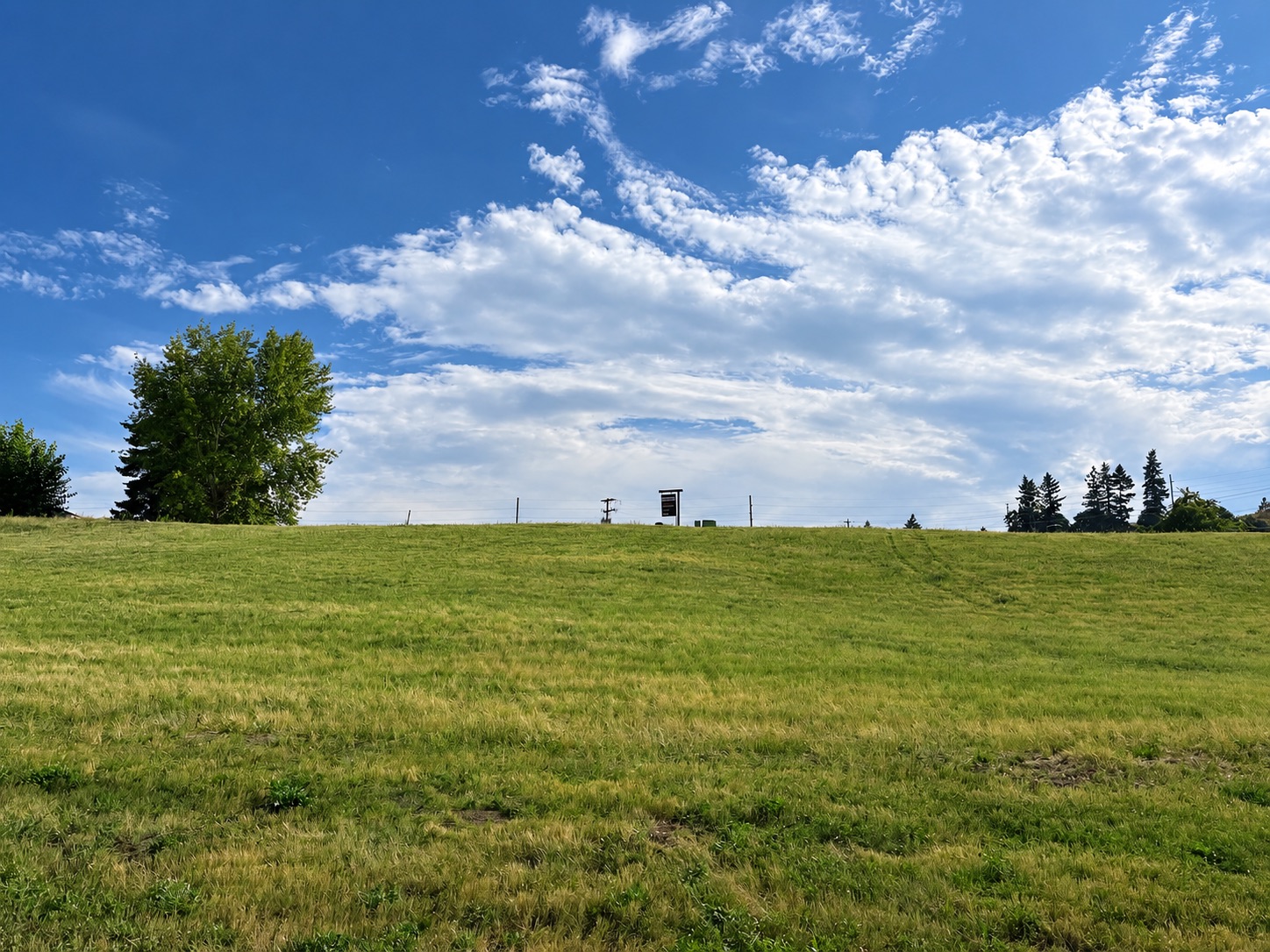 Land in Polson