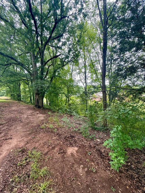 113 Newberry Street, Greenville, SC, 29617 | Card Image