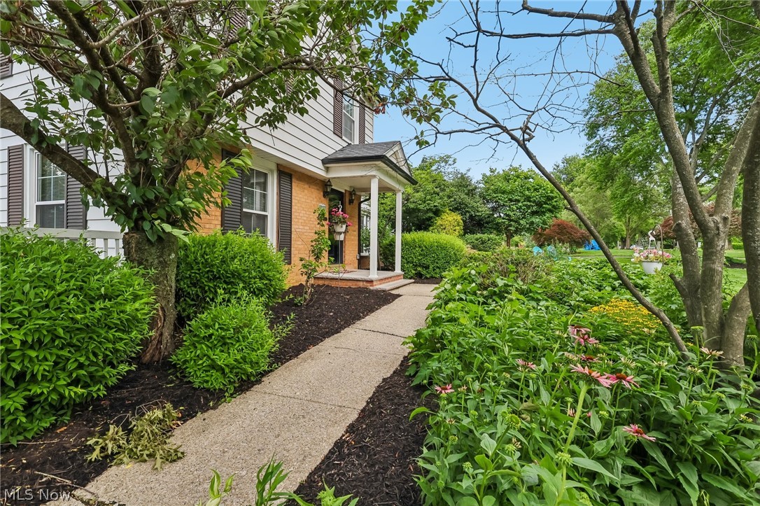 Residential in Shaker Heights 4
