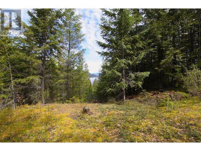 434 Lexington Ave, Home with 0 bedrooms, 0 bathrooms and null parking in Procter BC | Image 9