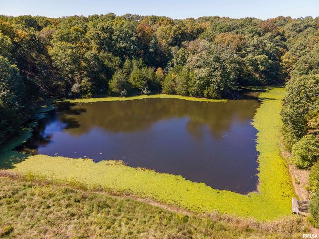 27232 215 Th St, Home with 5 bedrooms, 4 bathrooms and null parking in Canton MO | Image 30