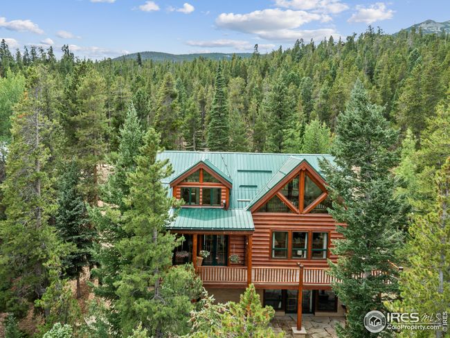 287 S Skinner Rd, House other with 2 bedrooms, 3 bathrooms and null parking in Allenspark CO | Image 5
