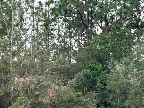 0 Royal River Dr, Coden, AL, 36523 | Card Image