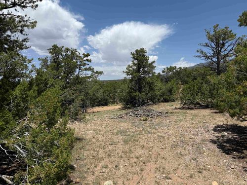 XX Bret Hale Road, Valdez, NM, 87580 | Card Image