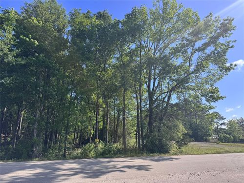 TBD N Railroad Ave, Shepherd, TX, 77371 | Card Image