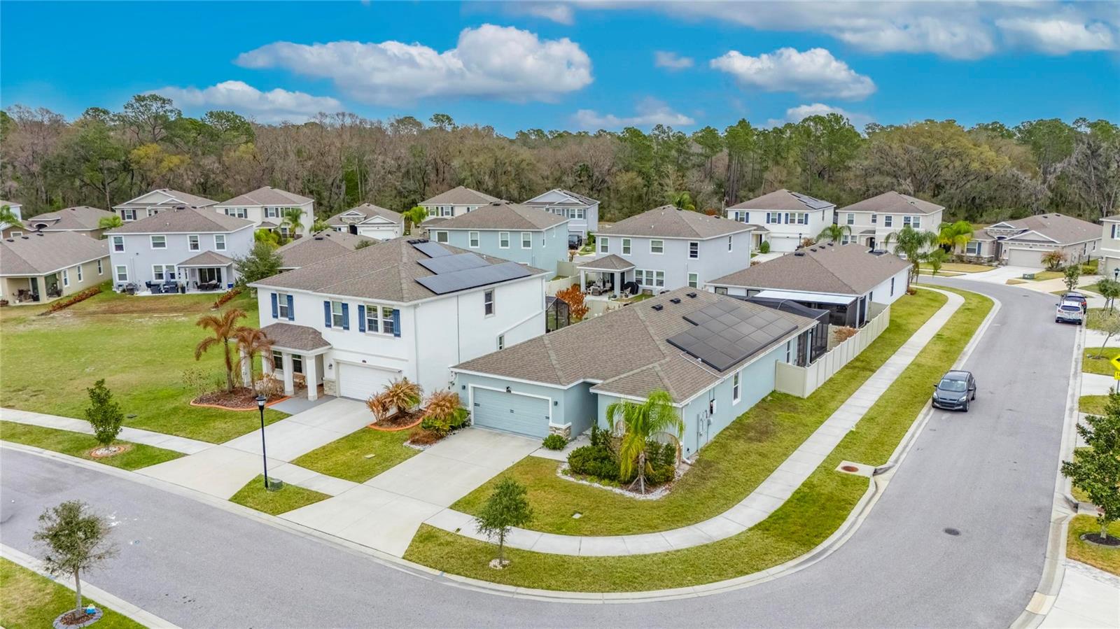 Residential in WESLEY CHAPEL 3