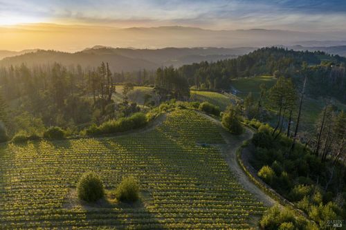 3801 Mount Veeder Rd, Napa, CA, 94558-9577 | Card Image