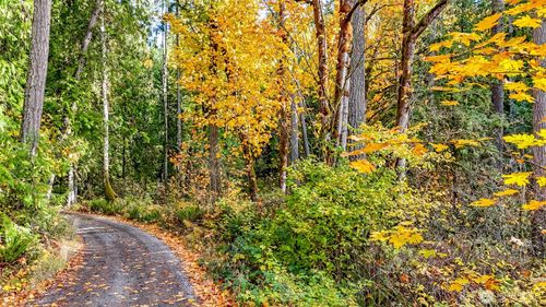 18313 Patterson Rd E, Orting, WA, 98360 | Card Image