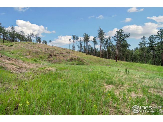 620 Davis Ranch Rd, House other with 3 bedrooms, 4 bathrooms and null parking in Bellvue CO | Image 12