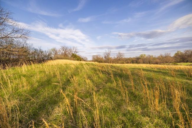 View of local wilderness featuring a rural view | Image 76