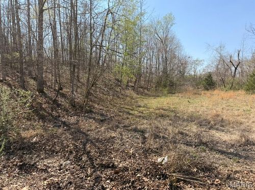 0 Woodland Hill Rd, Poplar Bluff, MO, 63901 | Card Image