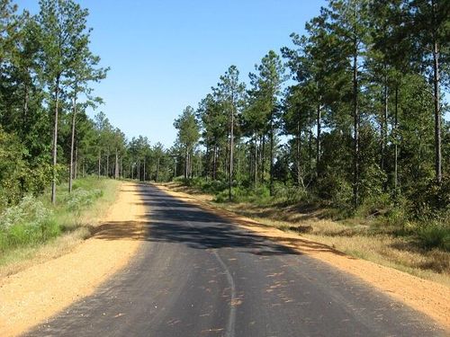 Lot 18 Jo Ann Dr., Sumrall, MS, 39482 | Card Image