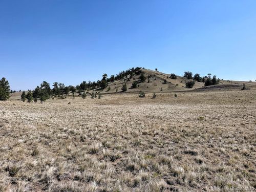 0 Falcon Rd, HARTSEL, CO, 80449 | Card Image