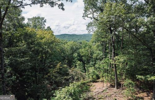 314-LOT 314 Talking Rock Creek Ln, Talking Rock, GA, 30175 | Card Image