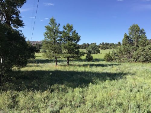 Lot 44 Sunflower Drive, Ramah, NM, 87321 | Card Image