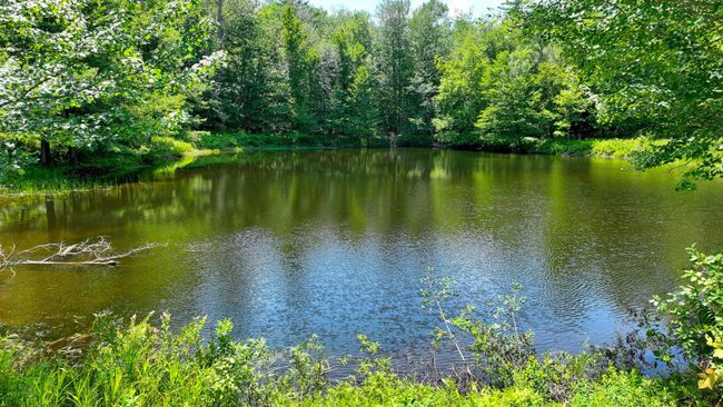 3264 Trebo Rd, House other with 3 bedrooms, 1 bathrooms and null parking in Chester VT | Image 10