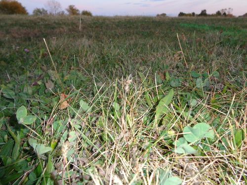 623 S State St, Lockport, IL, 60441-3034 | Card Image