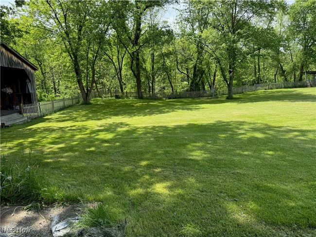 View of yard | Image 8