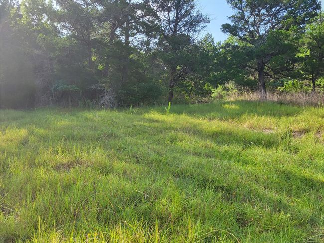 54313 Ridgecrest Cir, Home with 0 bedrooms, 0 bathrooms and null parking in Coldspring TX | Image 5