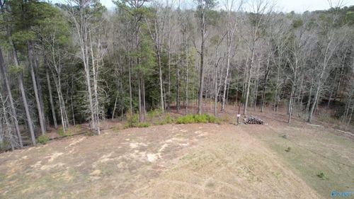 101 & 102 Sipsey Overlook Rd, Double Springs, AL, 35553 | Card Image