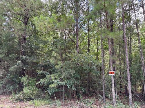 1.529 AC Trappers Run, Albany, LA, 70711 | Card Image