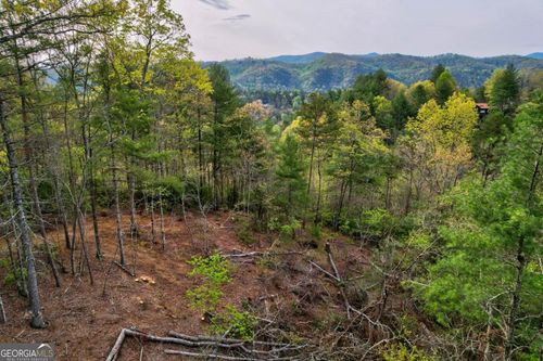 52-LOT 52 Community Hill Dr, Blue Ridge, GA, 30513-2114 | Card Image