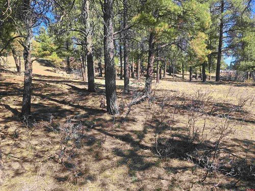 110 Woodridge Cir, Pagosa Springs, CO, 81147-8672 | Card Image