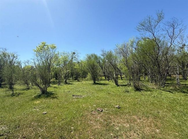 10542 Walker Rd, Home with 0 bedrooms, 0 bathrooms and null parking in Beasley TX | Image 7
