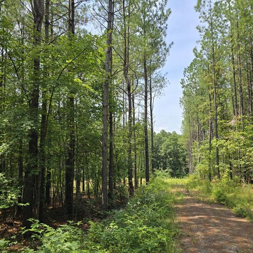 T23 L3 Sheep Ranch Rd, Robbins, TN, 37852 | Card Image
