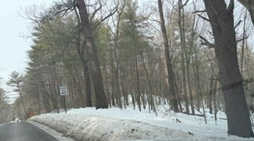 Lot B Willow Ave, Boxford, MA, 01921 | Card Image