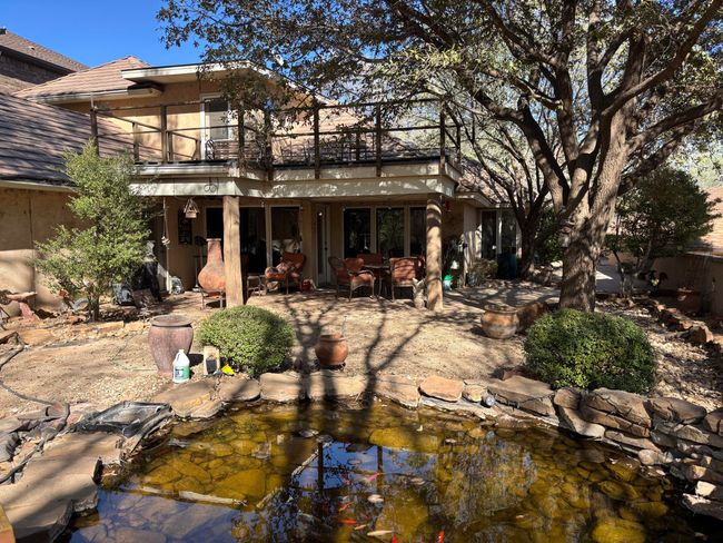 Backyard pond | Image 6