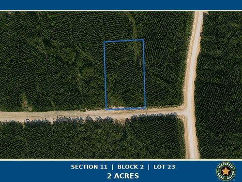 15979 Forest Grove Dr, Willis, TX, 77378 | Card Image