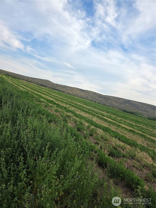 2 Borland Rd, Ellensburg, WA, 98926 | Card Image