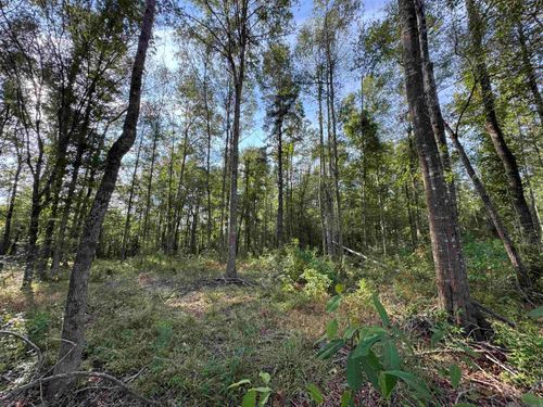 SF-14 La Highway 16, Denham Springs, LA, 70706 | Card Image
