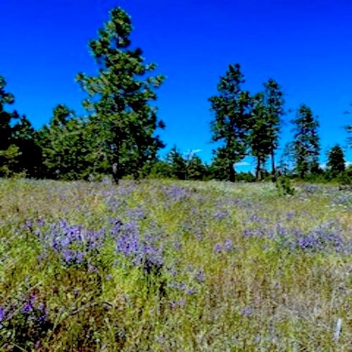 Lot A Kronos Short Plat/Pine Hen Ln, Davenport, WA, 99122 | Card Image