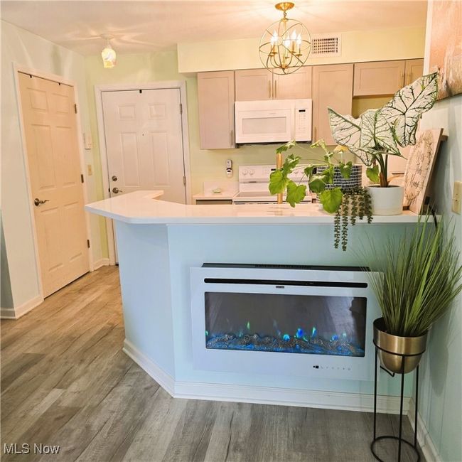 APT-101 - 23002 Chandlers Ln, Condo with 1 bedrooms, 1 bathrooms and null parking in Olmsted Falls OH | Image 6
