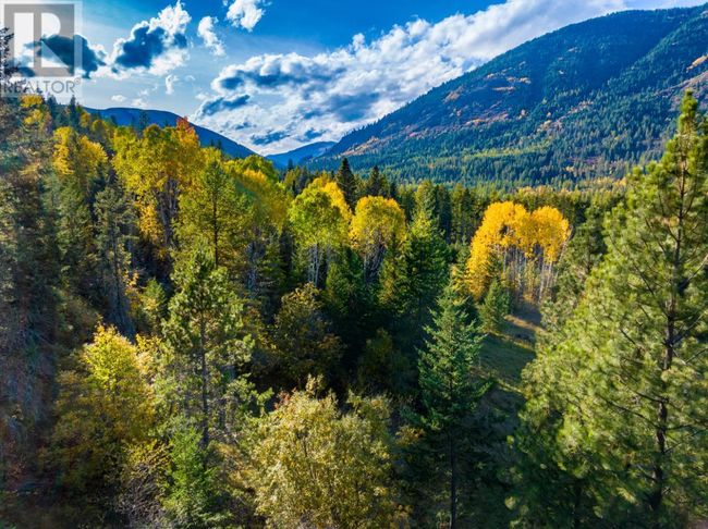 Lot 1 Corn Creek Rd, Home with 0 bedrooms, 0 bathrooms and null parking in Creston BC | Image 11