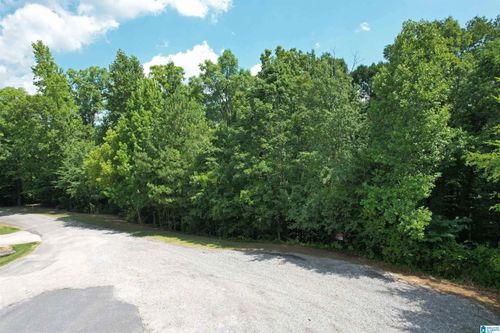 4-0 Weatherton Trl, HARPERSVILLE, AL, 35078 | Card Image