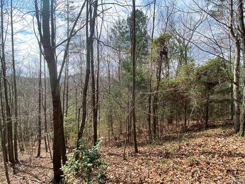 Lot 9 Turtle Ridge Trl, Murphy, NC, 28906 | Card Image