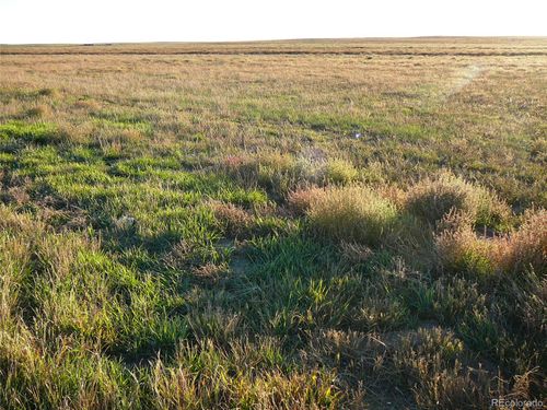 TBD Highway 52, Wiggins, CO, 80654 | Card Image