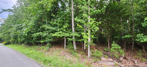 LOT 1 Truman Hill Rd, Hardy, VA, 24101-5943 | Card Image