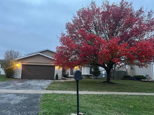 1516 Wayne Drive, Crete, IL, 60417 | Card Image