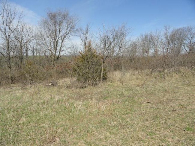 10.45 Acres Ringhand Rd, Home with 0 bedrooms, 0 bathrooms and null parking in SYLVESTER WI | Image 23