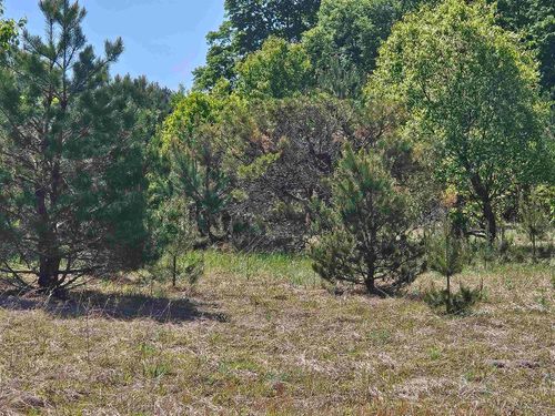 V/L Parcel C Se Grass Lake Road, Excelsior Township, MI, 49646 | Card Image