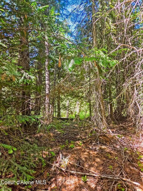 NNA Tanglewood Dr, Priest River, ID, 83856 | Card Image