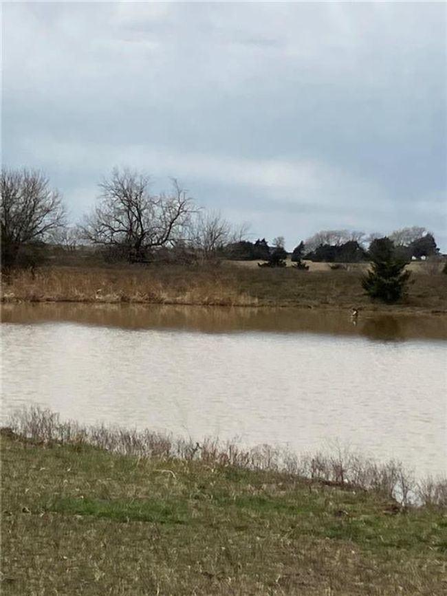 View of water feature | Image 20