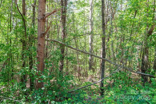 Lot 13 Meadow Crossing Drive, Rutherfordton, NC, 28139 | Card Image