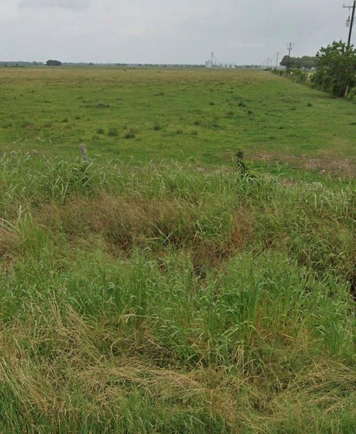 TBD County Road 321, Louise, TX, 77455 | Card Image