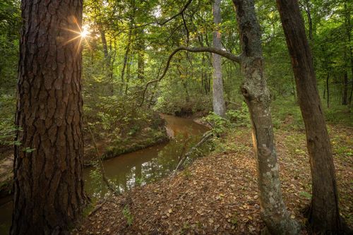 14221 Pine Overlook Dr, Flint, TX, 75762-8791 | Card Image